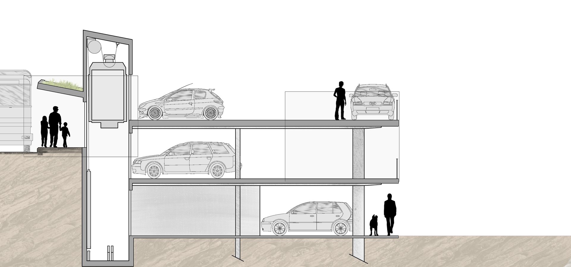 Coupe longitudinale